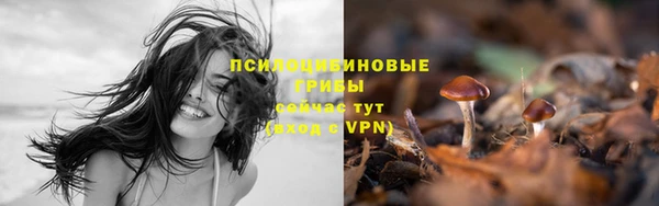 MDMA Богданович