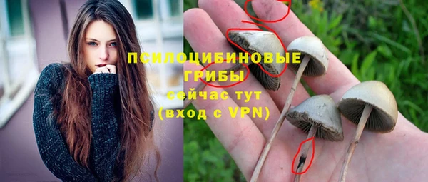 MDMA Богданович