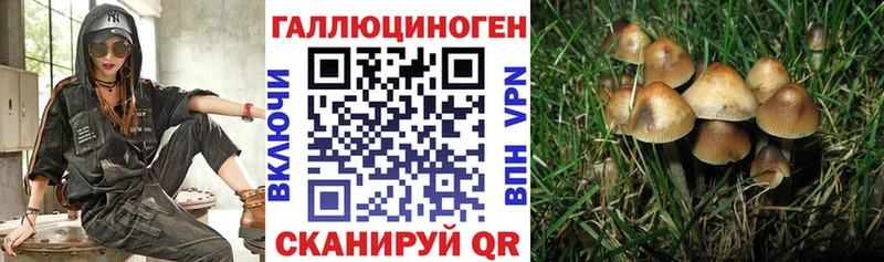 кракен ссылки  Щучье  Галлюциногенные грибы мухоморы  как найти закладки 